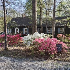 Photo #2 of 11766 Five Forks, Farmville, VA 8.7 acres