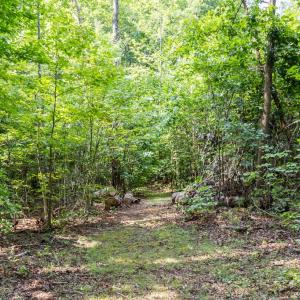 Photo #43 of 11766 Five Forks, Farmville, VA 8.7 acres