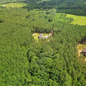 Photo #47 of 1997 Rocks Church Rd., Pamplin, VA 11.0 acres