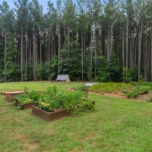 Photo #56 of 1997 Rocks Church Rd., Pamplin, VA 11.0 acres