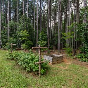 Photo #57 of 1997 Rocks Church Rd., Pamplin, VA 11.0 acres