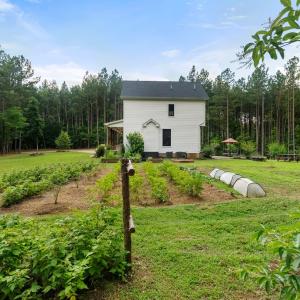 Photo #61 of 1997 Rocks Church Rd., Pamplin, VA 11.0 acres