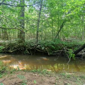 Photo #67 of 1997 Rocks Church Rd., Pamplin, VA 11.0 acres