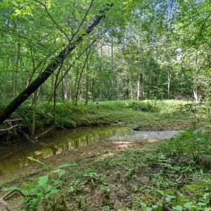 Photo #68 of 1997 Rocks Church Rd., Pamplin, VA 11.0 acres