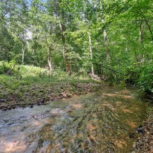 Photo #69 of 1997 Rocks Church Rd., Pamplin, VA 11.0 acres
