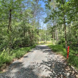 Photo #10 of 42 Mt Elba Rd, Columbia, VA 15.0 acres