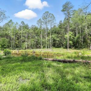 Photo #11 of 42 Mt Elba Rd, Columbia, VA 15.0 acres