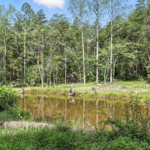 Photo #12 of 42 Mt Elba Rd, Columbia, VA 15.0 acres