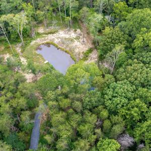 Photo #40 of 42 Mt Elba Rd, Columbia, VA 15.0 acres