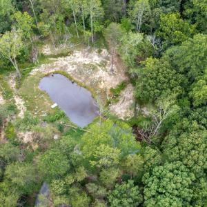 Photo #41 of 42 Mt Elba Rd, Columbia, VA 15.0 acres