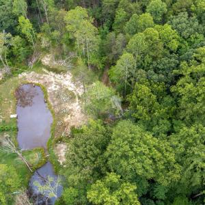Photo #42 of 42 Mt Elba Rd, Columbia, VA 15.0 acres