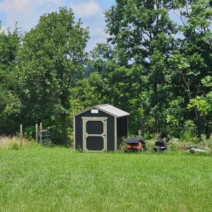 Shed 2