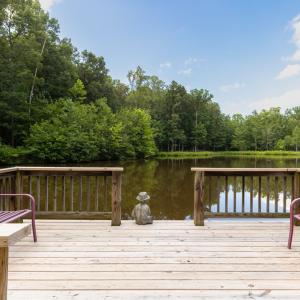 Photo #40 of 4517 Gravel Hill Road, Dillwyn, VA 33.6 acres