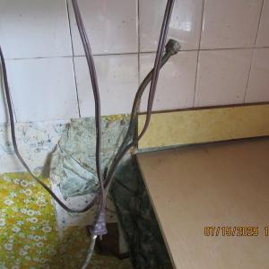 Photo #20 of 191 Oakview Ln, Keysville, VA 5.3 acres