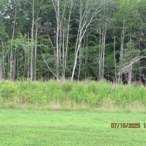 Photo #40 of 191 Oakview Ln, Keysville, VA 5.3 acres