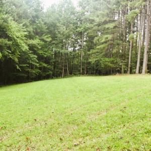 Photo #20 of 81 Hardtimes Dr., Prospect, VA 5.3 acres