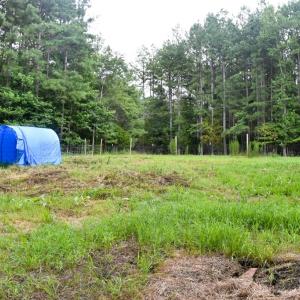 Photo #26 of 81 Hardtimes Dr., Prospect, VA 5.3 acres