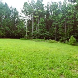 Photo #27 of 81 Hardtimes Dr., Prospect, VA 5.3 acres