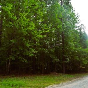 Photo #29 of 81 Hardtimes Dr., Prospect, VA 5.3 acres
