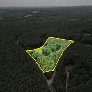 Photo #37 of 81 Hardtimes Dr., Prospect, VA 5.3 acres