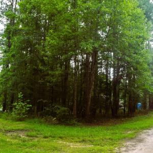 Photo #30 of 81 Hardtimes Dr., Prospect, VA 5.3 acres