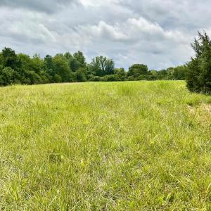 Photo #10 of 118 Oak Hill Forest Rd, Cumberland, VA 18.5 acres