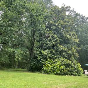 Photo #13 of 118 Oak Hill Forest Rd, Cumberland, VA 18.5 acres