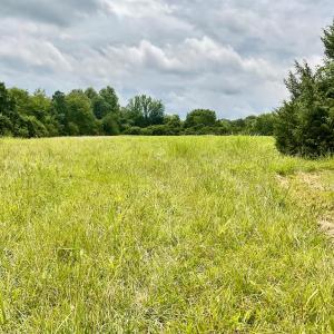 Photo #7 of 118 Oak Hill Forest Rd, Cumberland, VA 18.5 acres