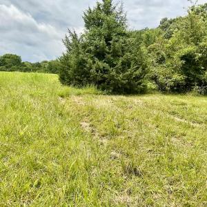 Photo #8 of 118 Oak Hill Forest Rd, Cumberland, VA 18.5 acres