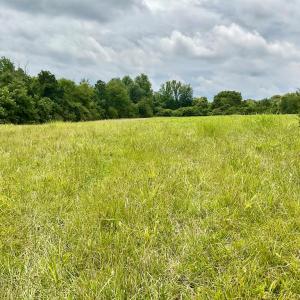 Photo #9 of 118 Oak Hill Forest Rd, Cumberland, VA 18.5 acres