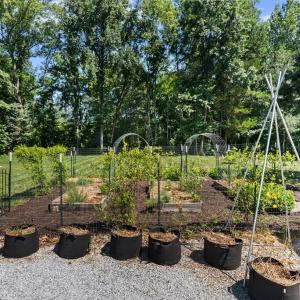 Photo #38 of 3763 Old Ridge Road, Farmville, VA 1.6 acres