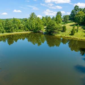 Photo #49 of 2081 Leighwood Trail, Halifax, VA 24.4 acres