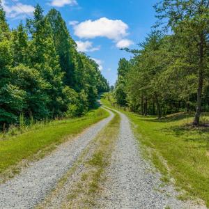 Photo #53 of 2081 Leighwood Trail, Halifax, VA 24.4 acres