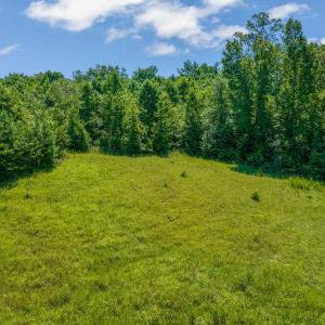 Photo #56 of 2081 Leighwood Trail, Halifax, VA 24.4 acres