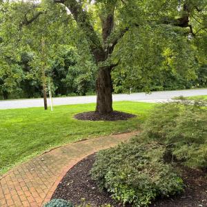 Photo #11 of 701 Fourth Ave, Ext., Farmville, VA 0.6 acres