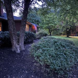 Photo #6 of 701 Fourth Ave, Ext., Farmville, VA 0.6 acres