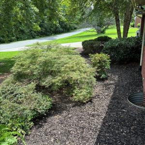 Photo #8 of 701 Fourth Ave, Ext., Farmville, VA 0.6 acres
