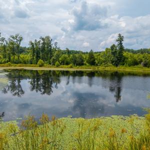 Photo #29 of 405 Washout Road, Keysville, VA 9.5 acres