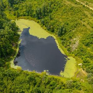 Photo #30 of 405 Washout Road, Keysville, VA 9.5 acres