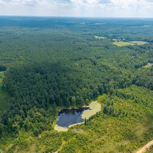 Photo #33 of 405 Washout Road, Keysville, VA 9.5 acres