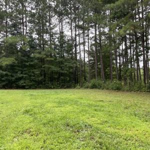 Photo #15 of 3114 Sheltons Road, Drakes Branch, VA 2.6 acres