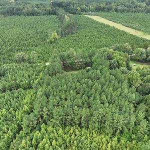 Photo #19 of 3114 Sheltons Road, Drakes Branch, VA 2.6 acres