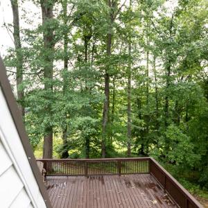Photo #46 of 196 Fox Hill Road, Rice, VA 242.4 acres