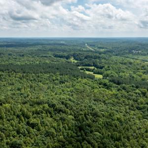 Photo #57 of 196 Fox Hill Road, Rice, VA 242.4 acres