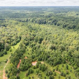 Photo #32 of 2826 Burkeville RD, Victoria, VA 86.3 acres