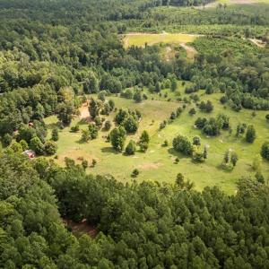 Photo #33 of 2826 Burkeville RD, Victoria, VA 86.3 acres