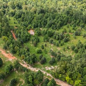 Photo #34 of 2826 Burkeville RD, Victoria, VA 86.3 acres