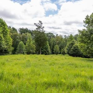 Photo #35 of 2826 Burkeville RD, Victoria, VA 86.3 acres