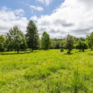 Photo #36 of 2826 Burkeville RD, Victoria, VA 86.3 acres