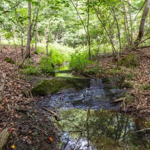 Photo #44 of 2826 Burkeville RD, Victoria, VA 86.3 acres